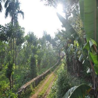 Homestay In Chikmagalur, Chikmaglur 1